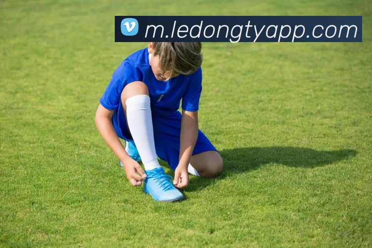 乐动体育APPAPP 封面图